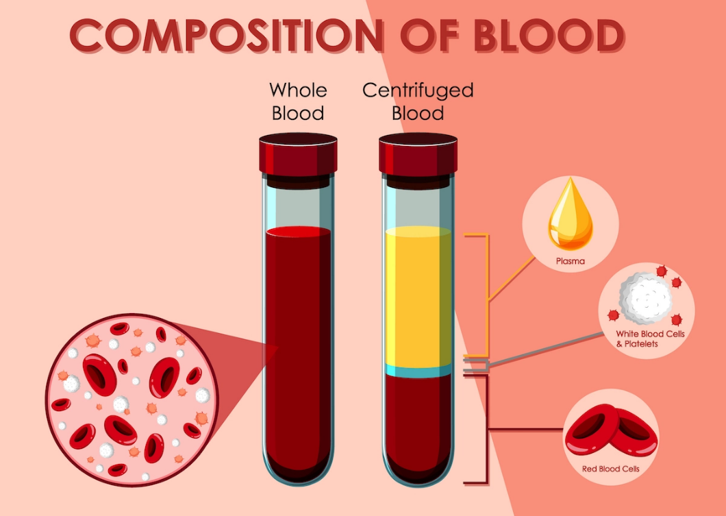 A diagram of blood in test tubes AI-generated content may be incorrect.